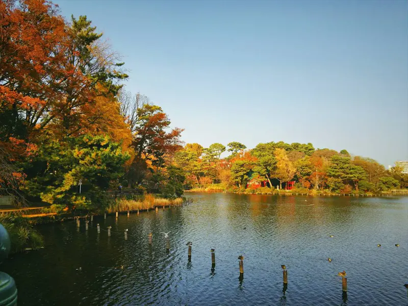 洗足池公園