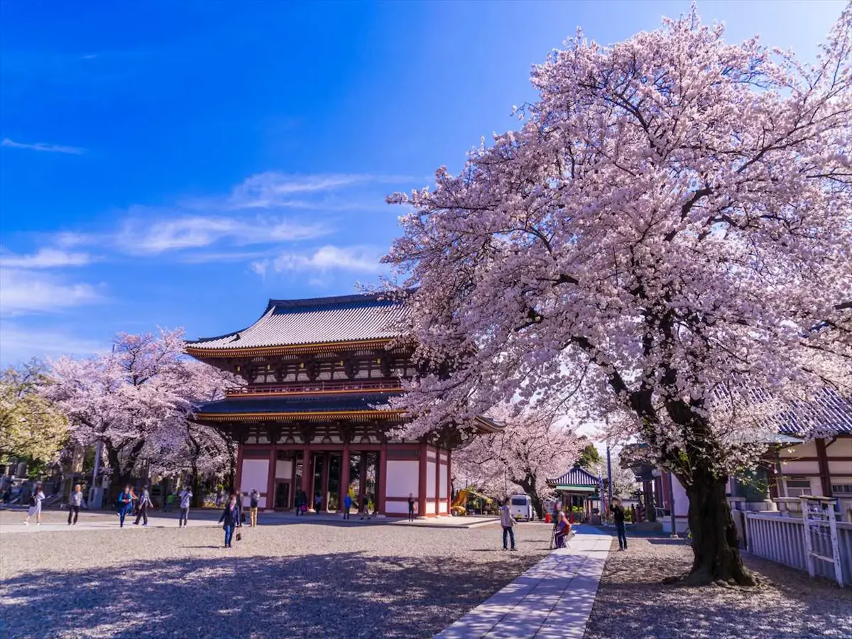 池上本門寺(写真 3)