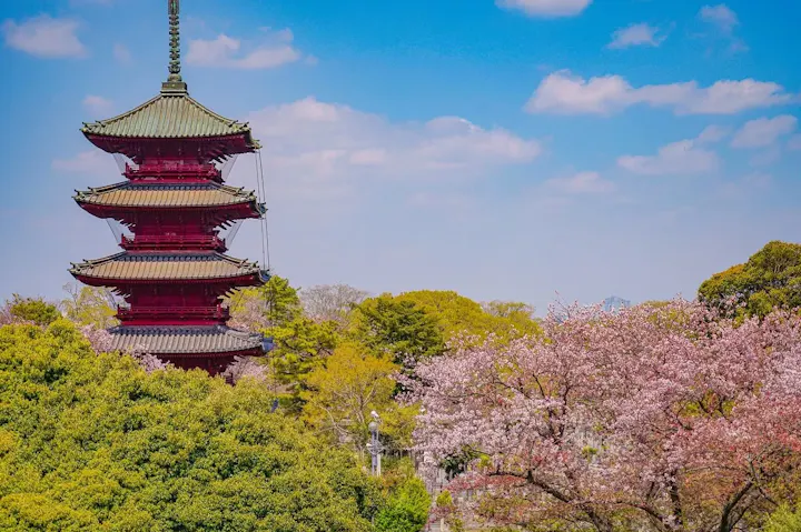 池上本門寺の春まつり