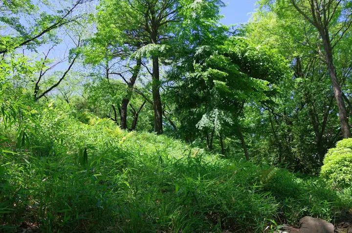 池上本門寺周辺の散策コース