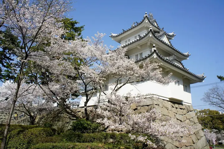 季節ごとに異なる景色を楽しむ