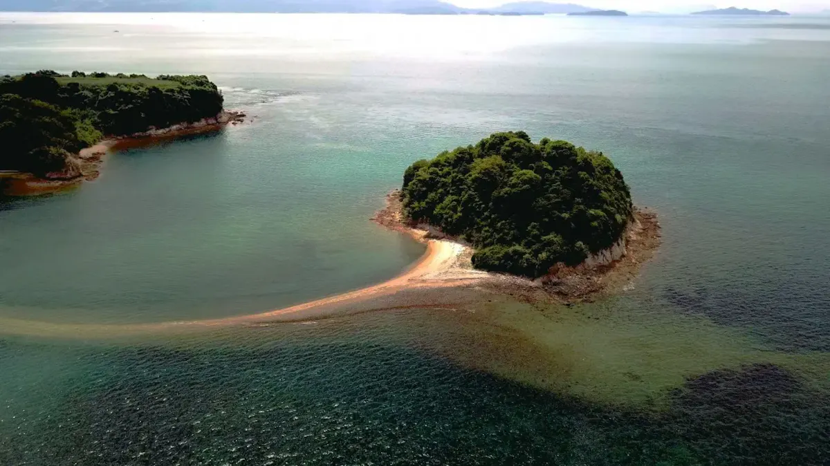 黒島ヴィーナスロード(写真 3)
