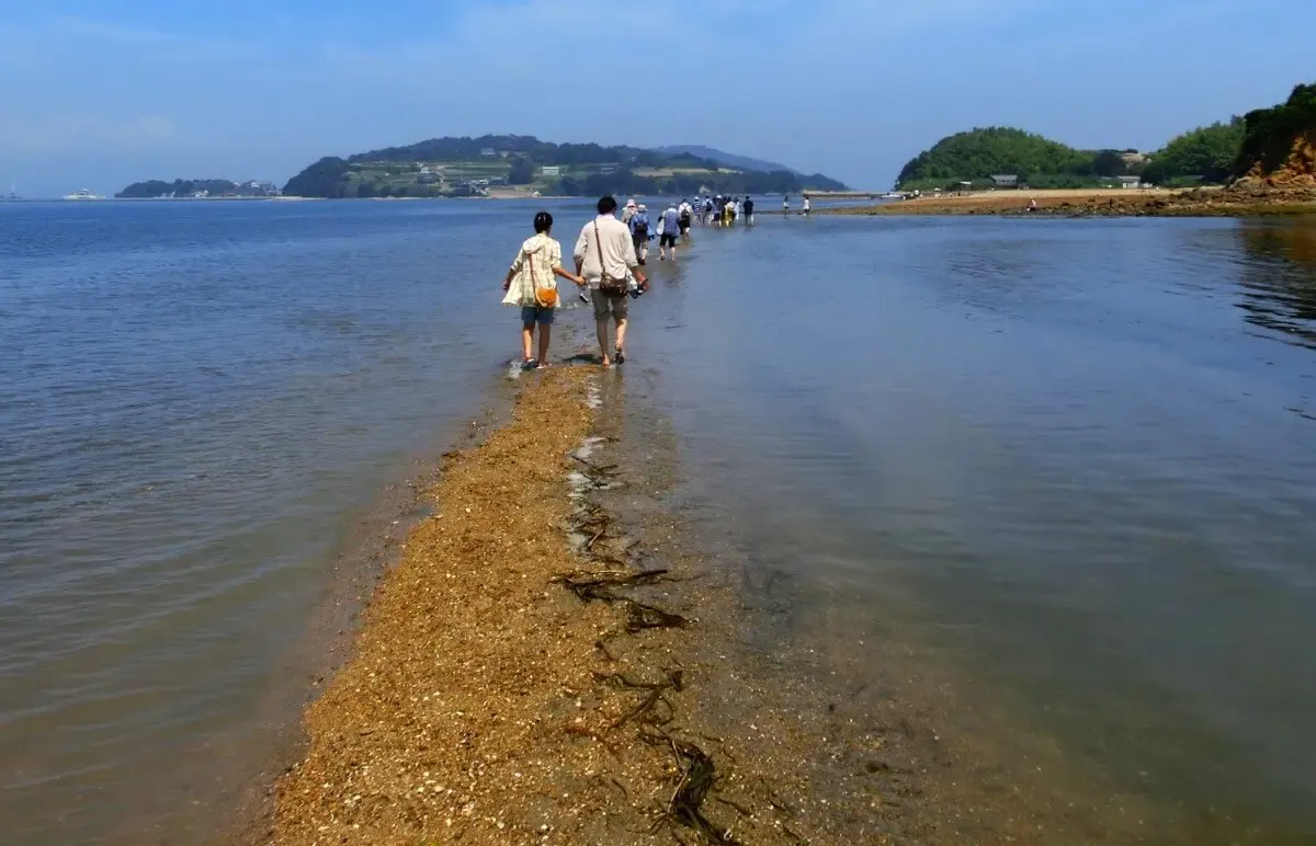 黒島ヴィーナスロード(写真 2)