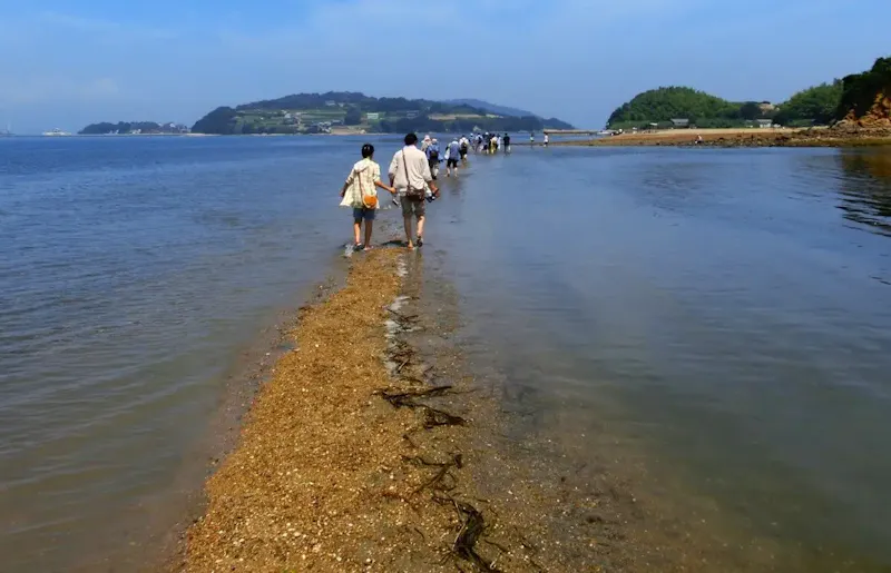 黒島ヴィーナスロード