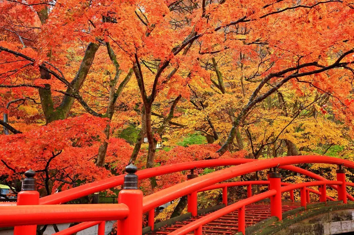 伊香保神社（写真 5）
