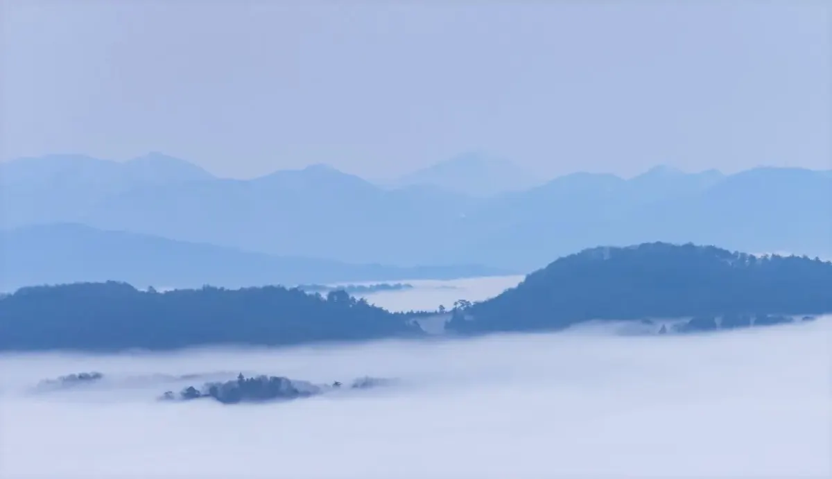 霧の海(写真 2)
