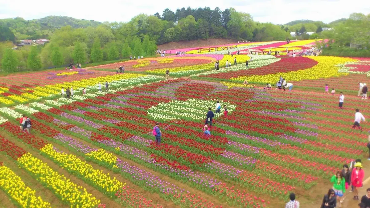 世羅高原農場