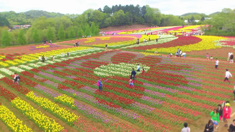 世羅高原農場