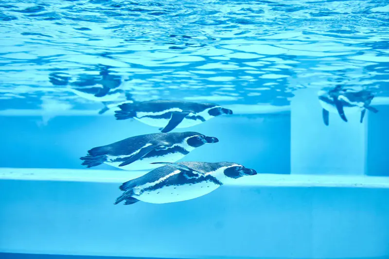 日本平動物園