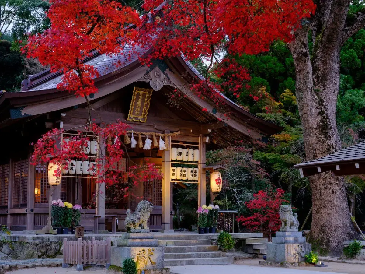 宝満神社（写真 2）