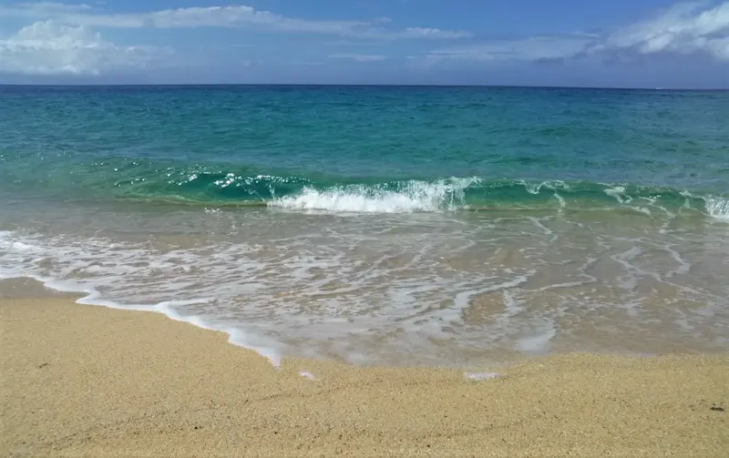 永田海岸