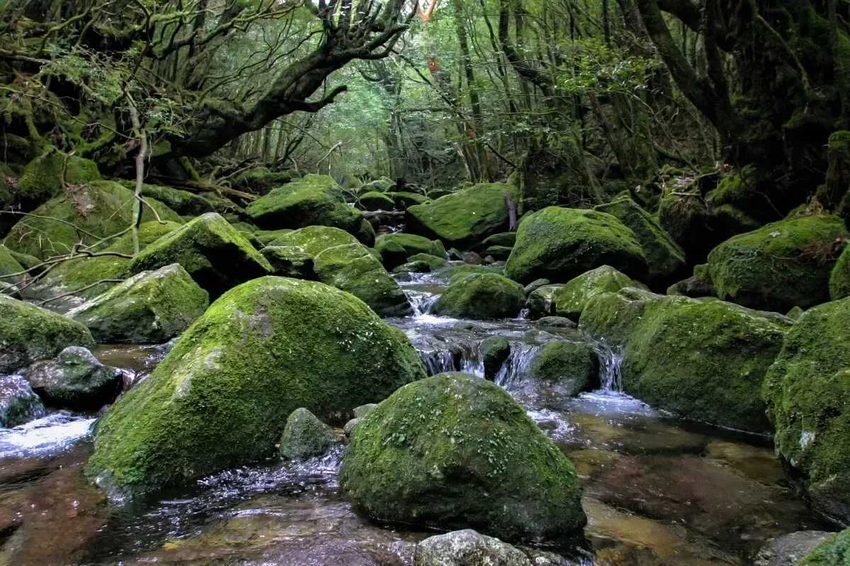 白谷雲水峡