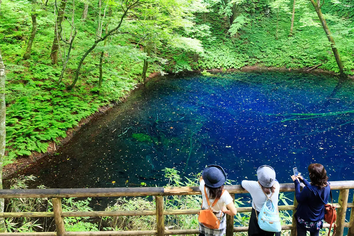 青池(写真 2)