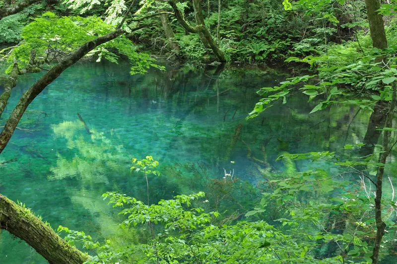 青池