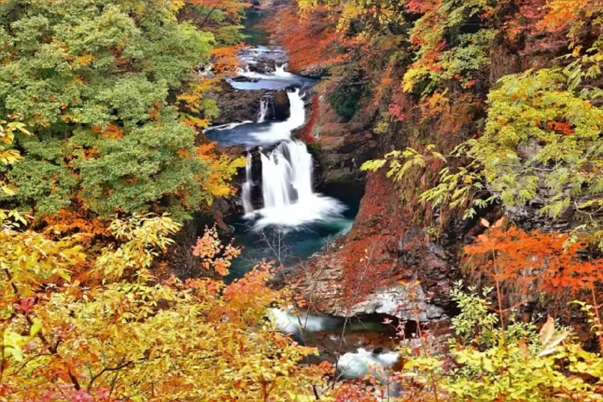 作並温泉（写真 4）