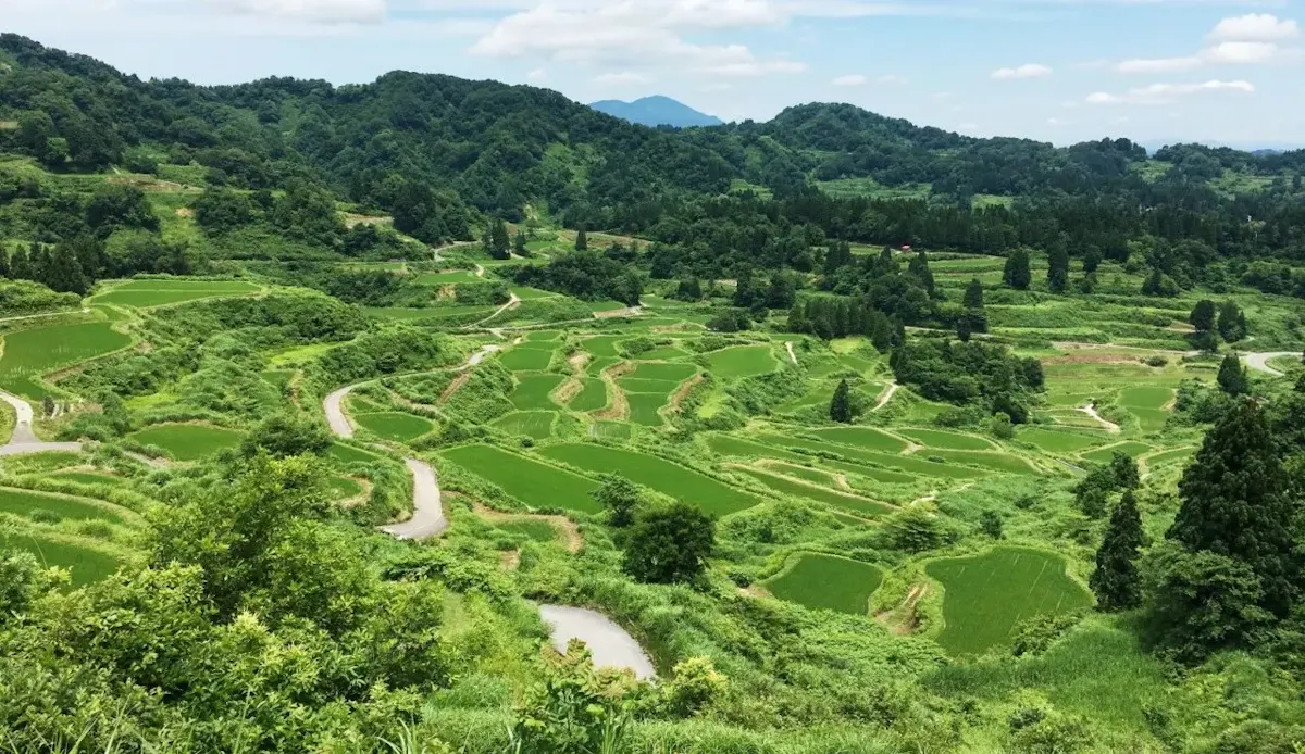 星峠の棚田(写真 2)