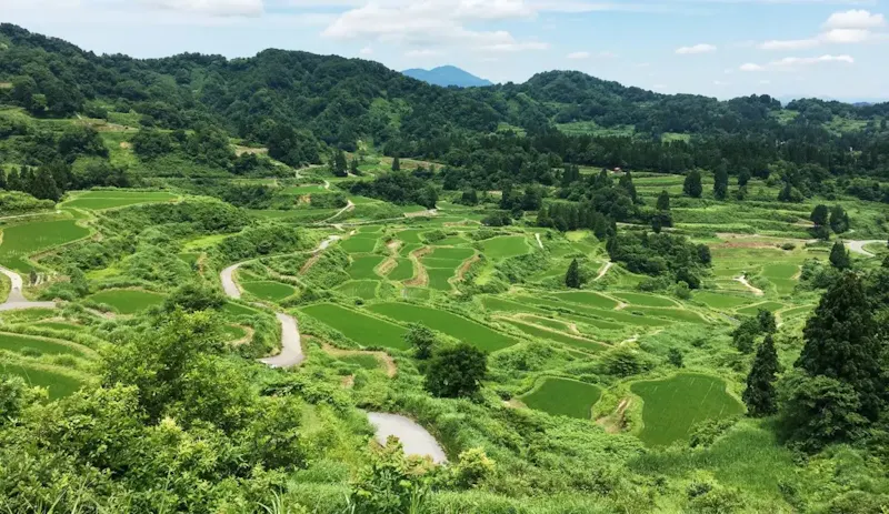 星峠の棚田