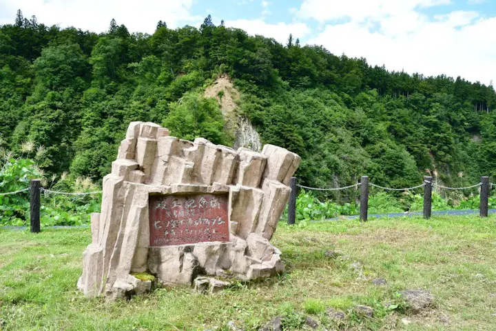 公園内でキャンプもできます!