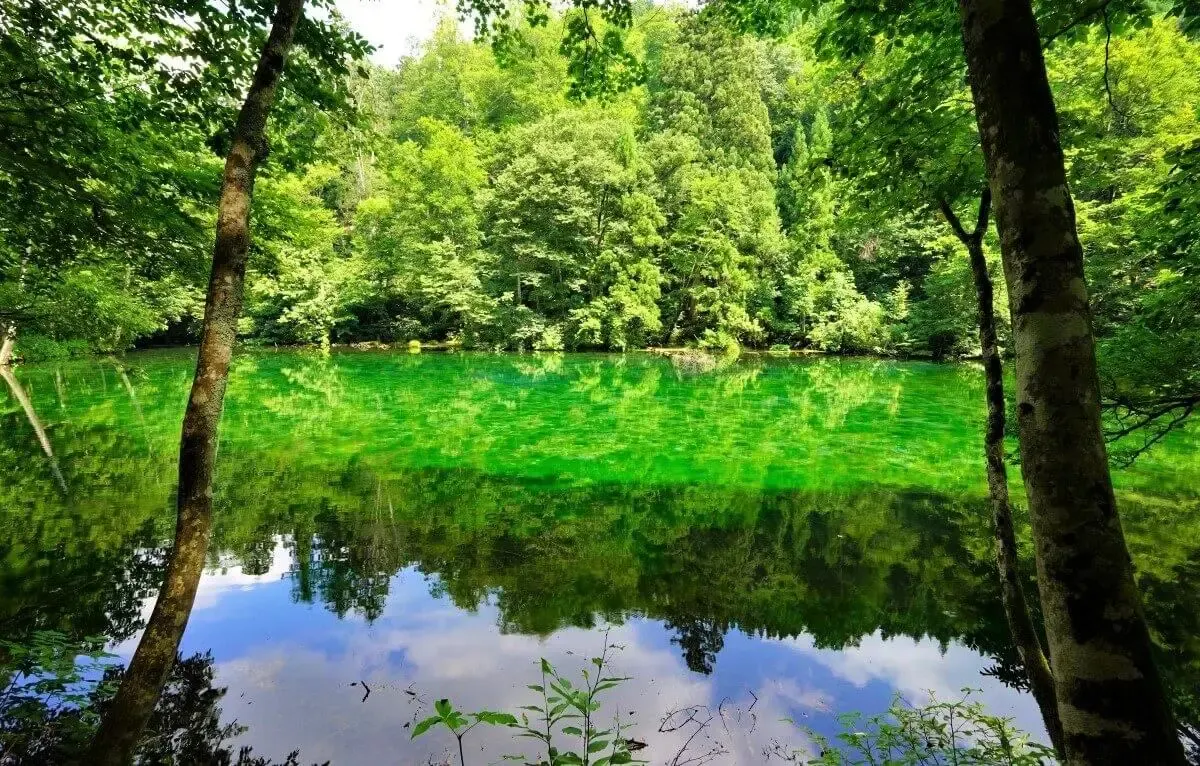 竜ヶ窪の池