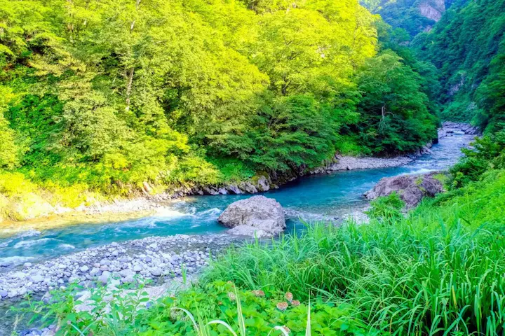 緑の清流と壮大な岩肌から自然の美しさと力強さを感じます