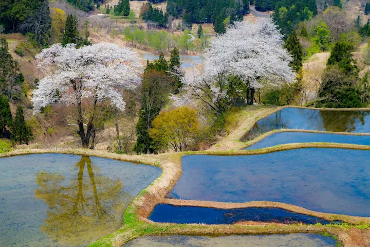 清津峡を起点にアートの里を周遊！