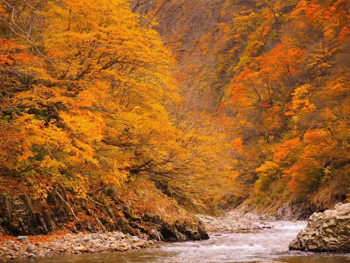清津峡の渓谷美と紅葉の愛称は抜群です
