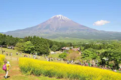 まかいの牧場