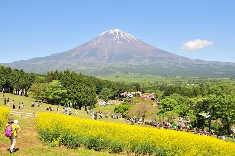 まかいの牧場