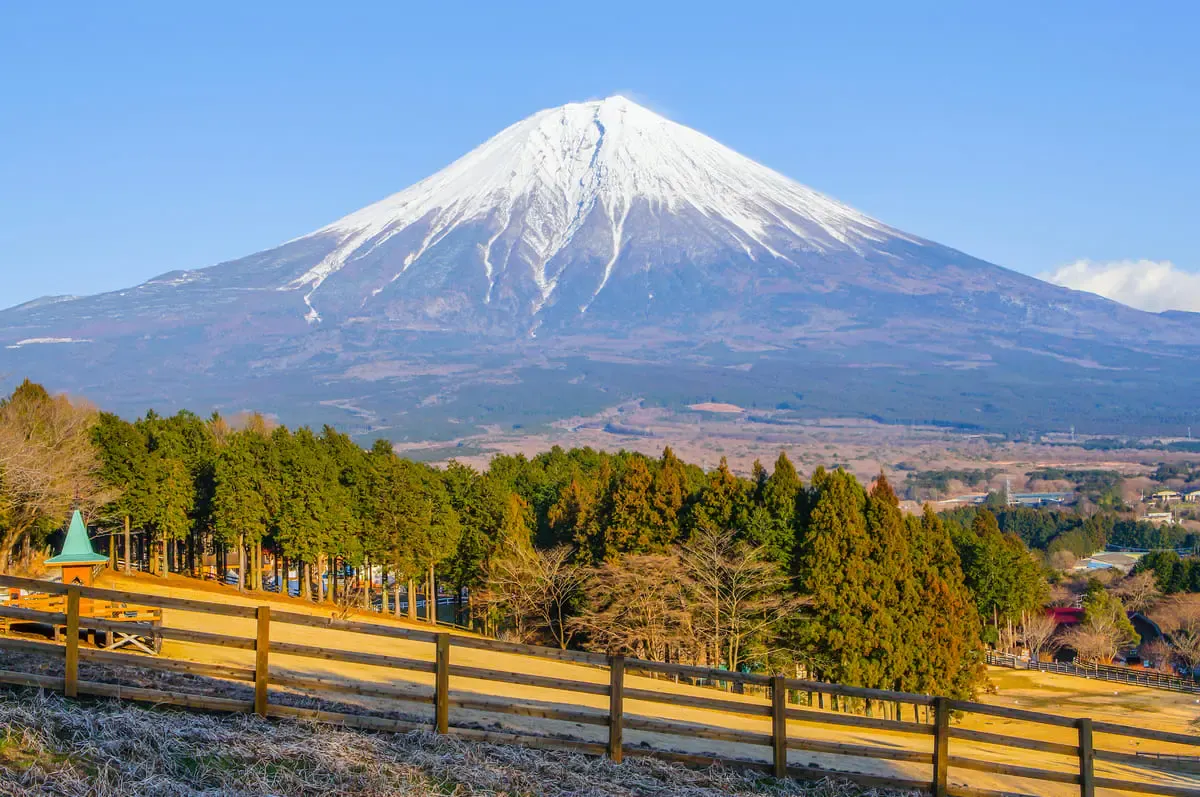 まかいの牧場(写真 3)