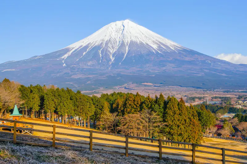 まかいの牧場