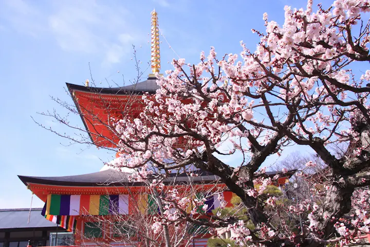 中山寺の四季折々の花や草木