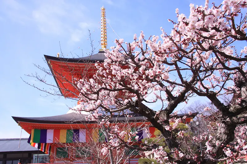 中山寺
