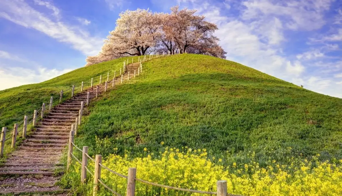 さきたま古墳公園