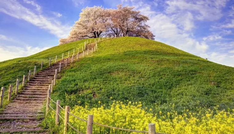さきたま古墳公園