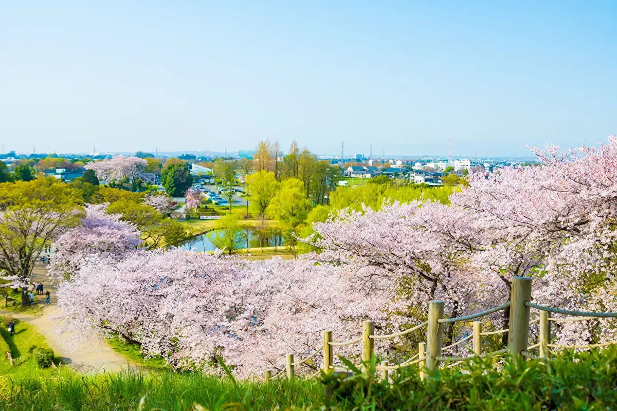 さきたま古墳公園(写真 2)