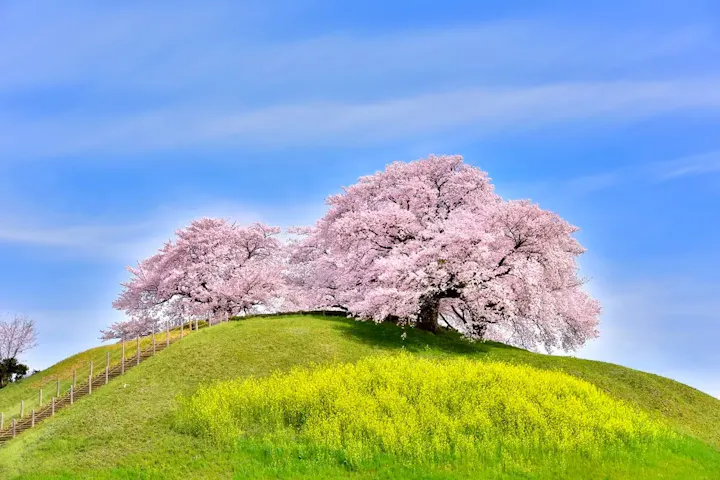 季節ごとに異なる豊かな自然と景観