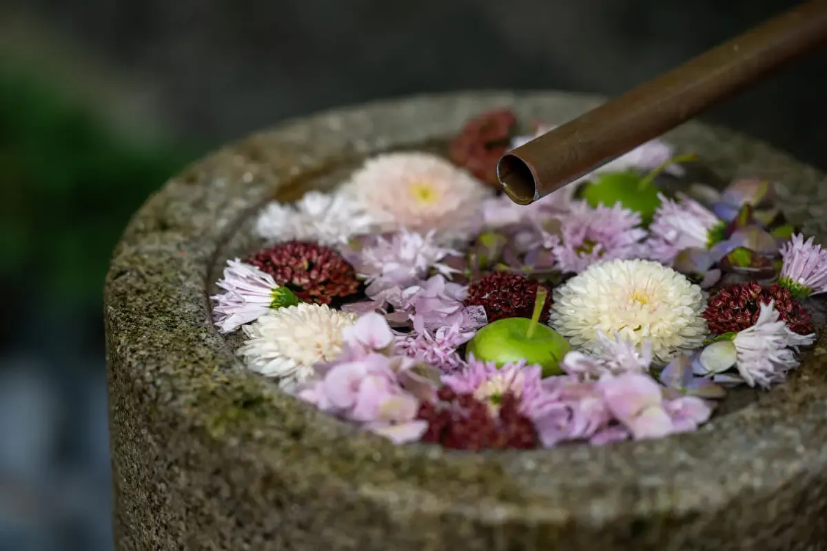 行田八幡神社（写真 2）