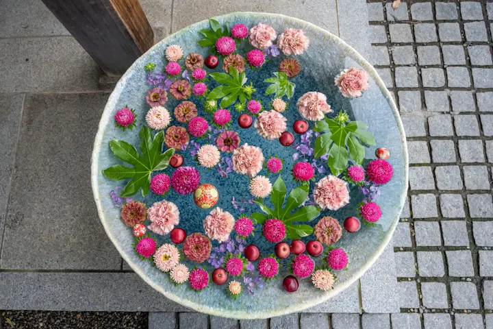 水に浮かぶ花が美しい花手水