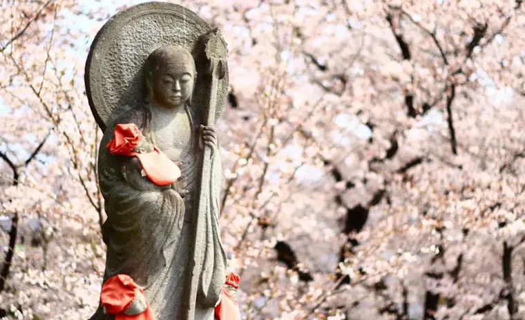 熊谷桜堤の桜