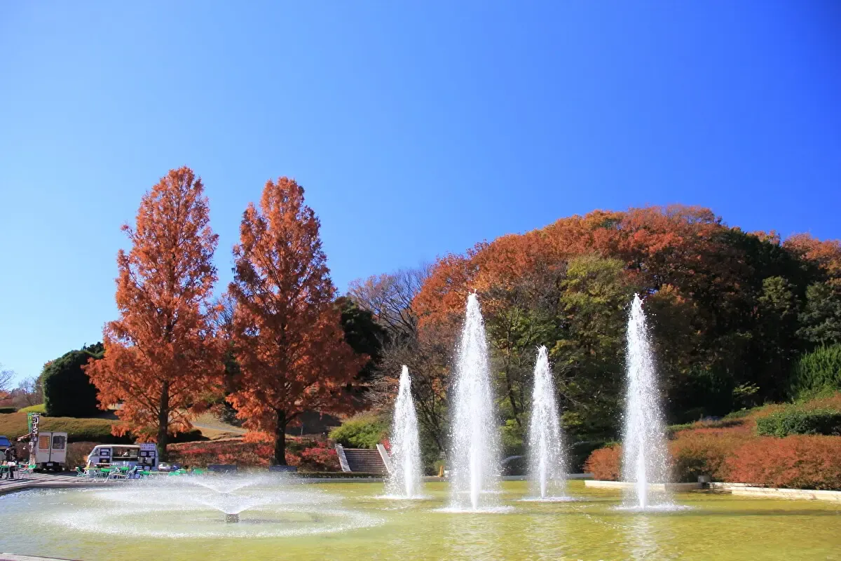国営武蔵丘陵森林公園(写真 2)