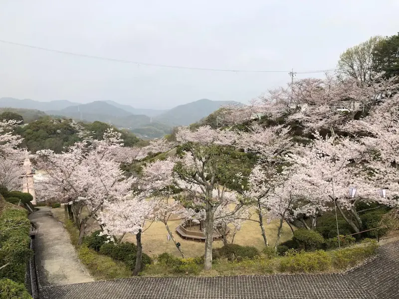 千光寺公園