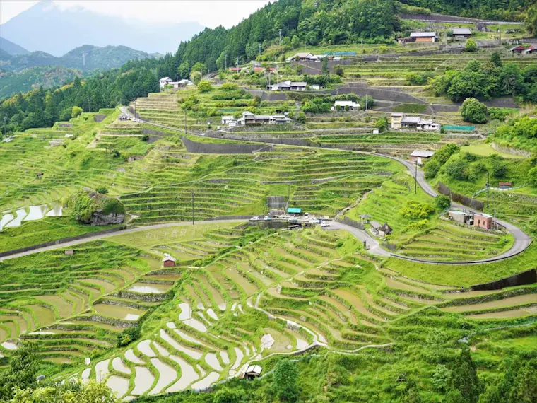 丸山千枚田