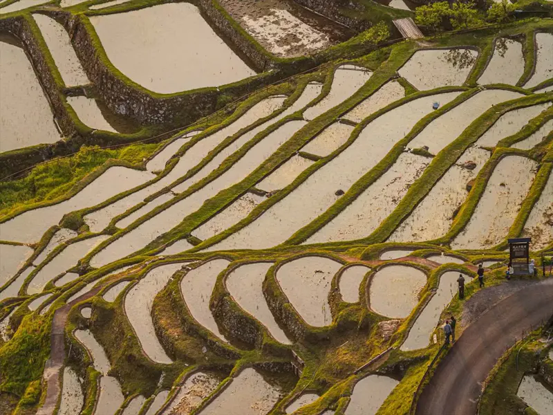 丸山千枚田