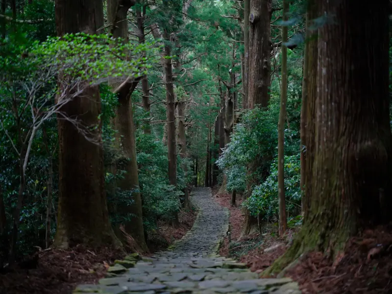 熊野古道