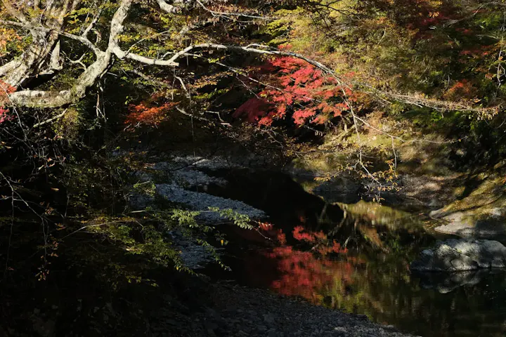 一年中美しい熊野古道