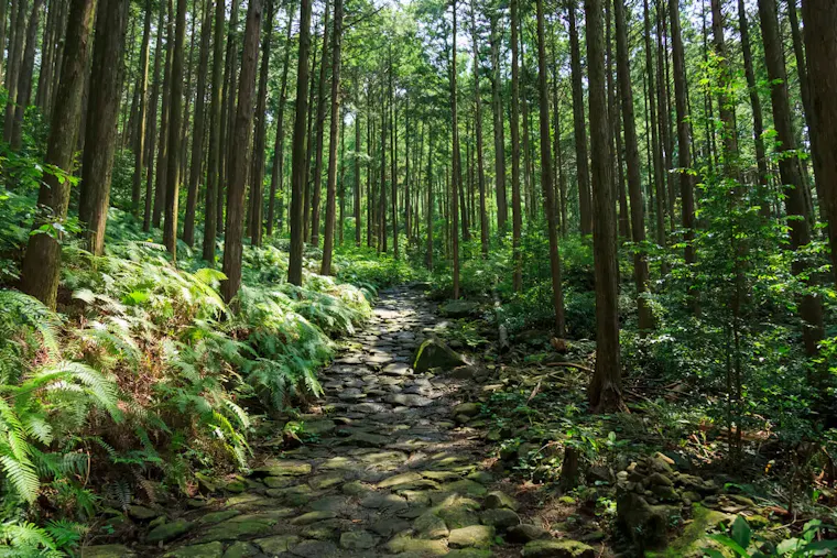 熊野古道