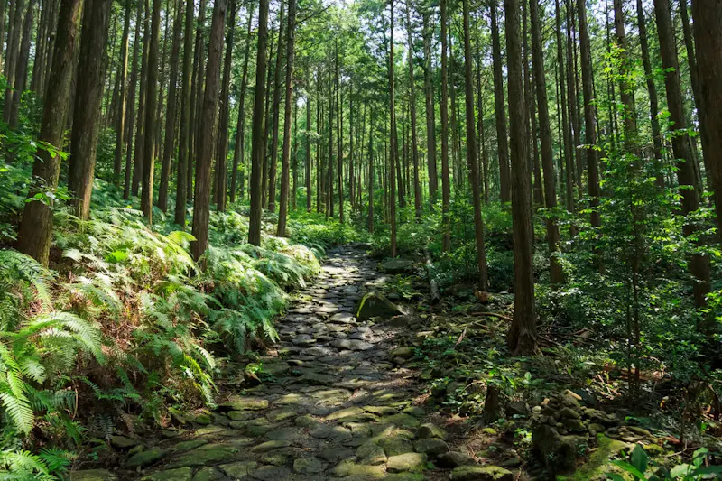 熊野古道