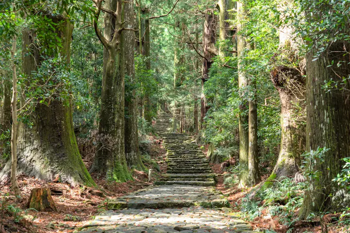 熊野古道の美しい景色を楽しむ自然散策