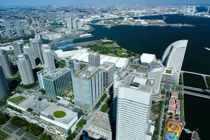 展望台から景色を楽しむ