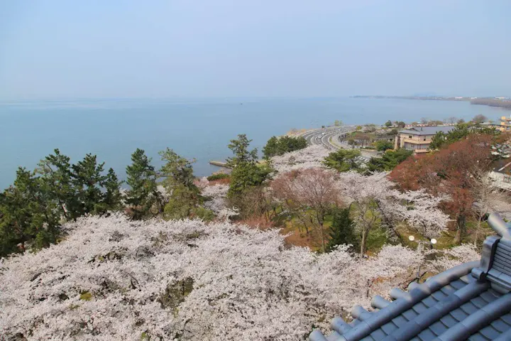 天守展望台からの景色が素晴らしい